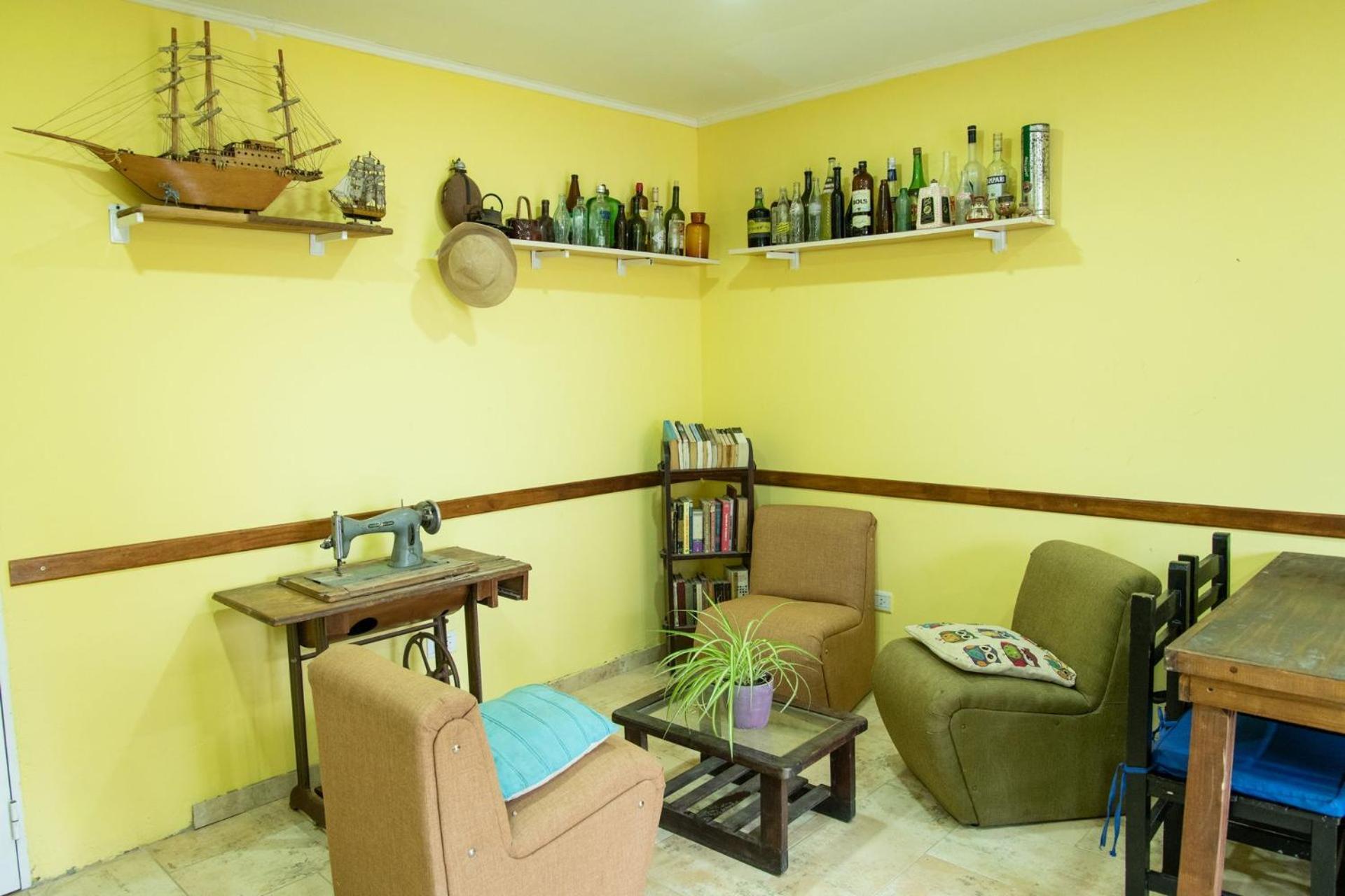 Palmeras Departamentos Santa Teresita